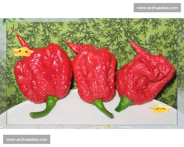 美国辣椒挑战赛：挑战极限的火辣之战，吃辣高手大比拼